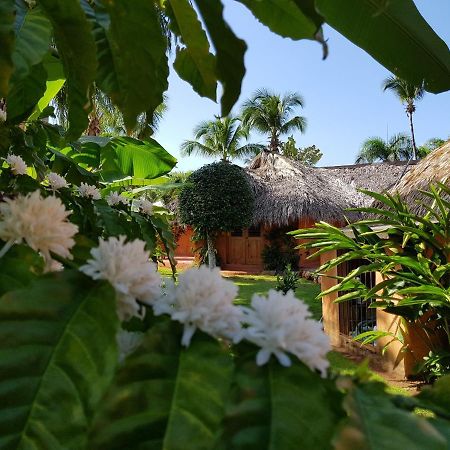 Solazul Bed & Breakfast Las Galeras Ngoại thất bức ảnh