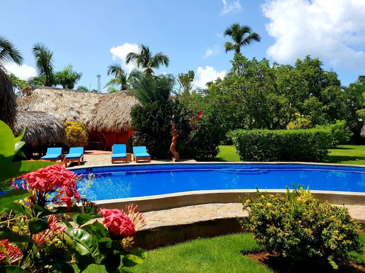 Solazul Bed & Breakfast Las Galeras Ngoại thất bức ảnh