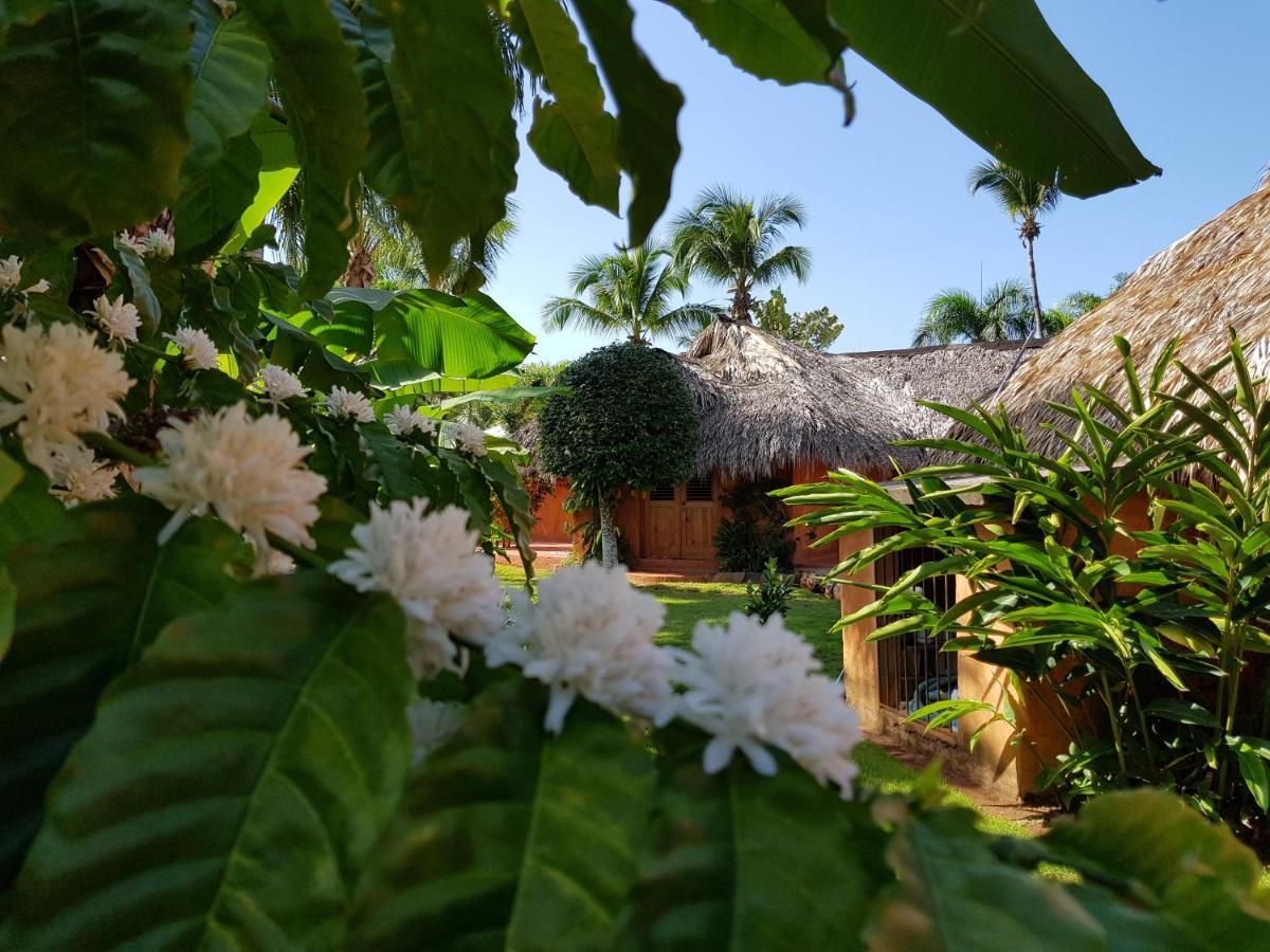 Solazul Bed & Breakfast Las Galeras Ngoại thất bức ảnh