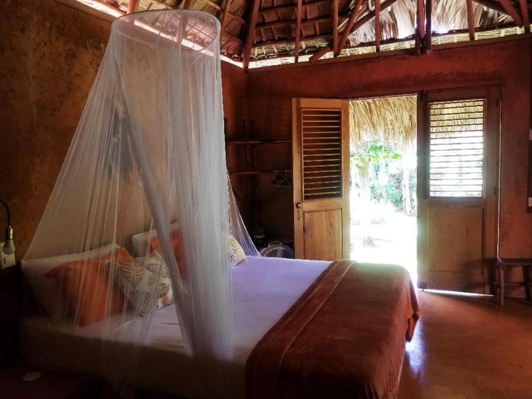 Solazul Bed & Breakfast Las Galeras Ngoại thất bức ảnh