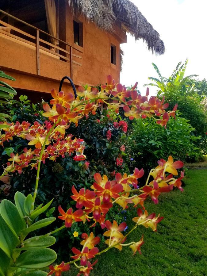 Solazul Bed & Breakfast Las Galeras Ngoại thất bức ảnh