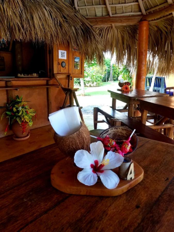 Solazul Bed & Breakfast Las Galeras Ngoại thất bức ảnh