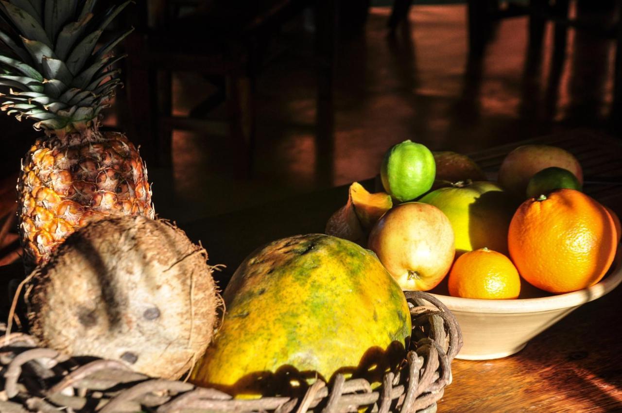 Solazul Bed & Breakfast Las Galeras Ngoại thất bức ảnh