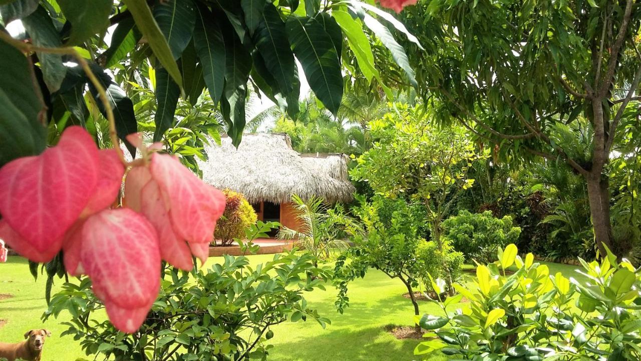 Solazul Bed & Breakfast Las Galeras Ngoại thất bức ảnh
