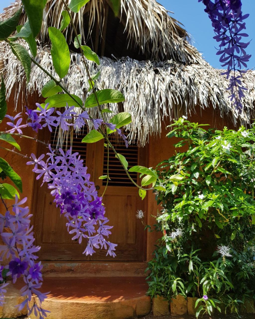 Solazul Bed & Breakfast Las Galeras Ngoại thất bức ảnh