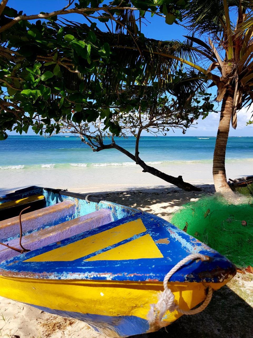 Solazul Bed & Breakfast Las Galeras Ngoại thất bức ảnh